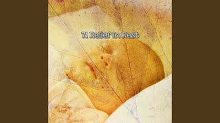 Reconcile With Sleep