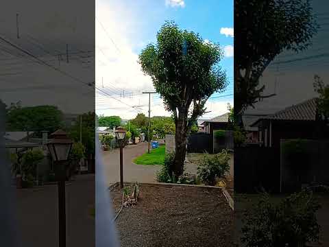 clima notícias News de Francisco Beltrão Paraná