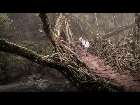 How to build a resilient future using ancient wisdom | Julia Watson