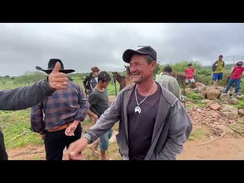 Feira de Cavalo com Chuva em senador Rui palmeira - AL 09 - 06 - 2026 #nordeste