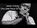 James Cotton-One Little Piece Of Shade