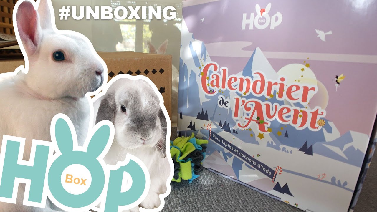 #UNBOXING Calendrier de l'avent HOP-BOX pour mes lapins