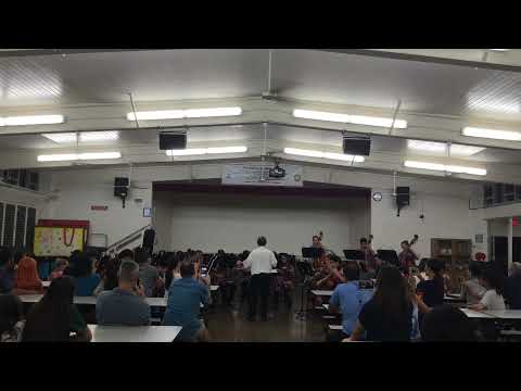 Niu Valley Middle School Orchestra: Falconer by Doug Spata