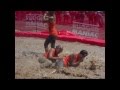 Dirty Woman Mud 2014 Evergreen Cross Fit Babes
