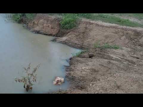 Olha como está se preparando para chuver em Arara Paraíba (08/03/26)