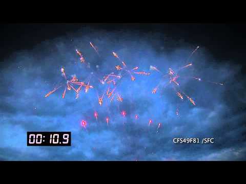 CFS49F81/SFC - Cake Ø30mm 49s 25sec H40m Fan-shape Cat.3 Nec.931g 1.4G