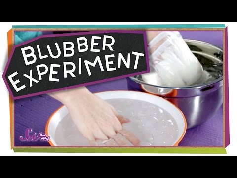 Fun With Blubber! - #sciencegoals