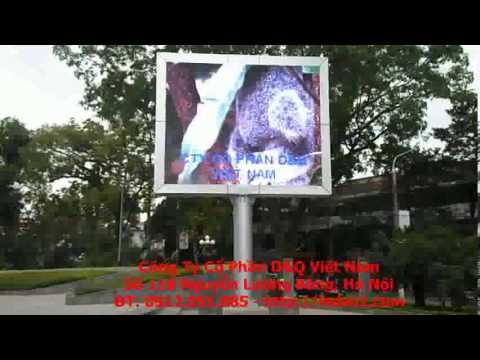 Video dự án