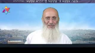 אנא, תהיו שותפים לפרויקט ענק