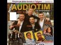 AudioTim-Esti o zână,esti o stea 