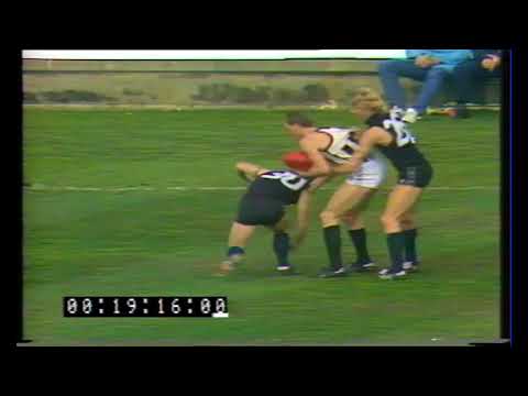 1985 Round 22 - Carlton vs Collingwood at Waverley Park - Carlton Only Highlights