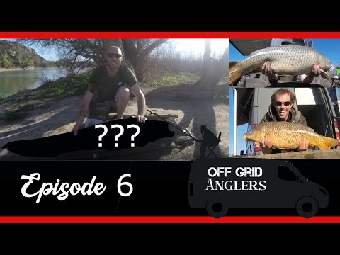 Carp fishing SPAIN. Another RIVER MONSTER caught!