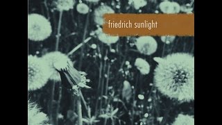 Friedrich Sunlight - Spuren (Single Version)
