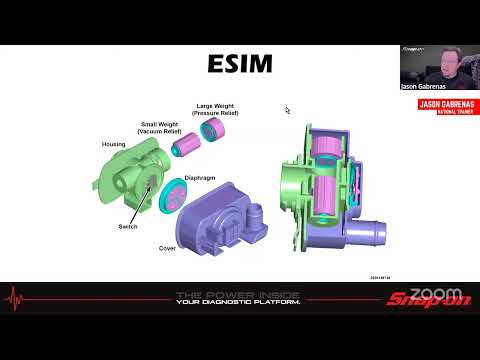 Tuesday Diagnostics Livestream - EVAP System Diagnosis