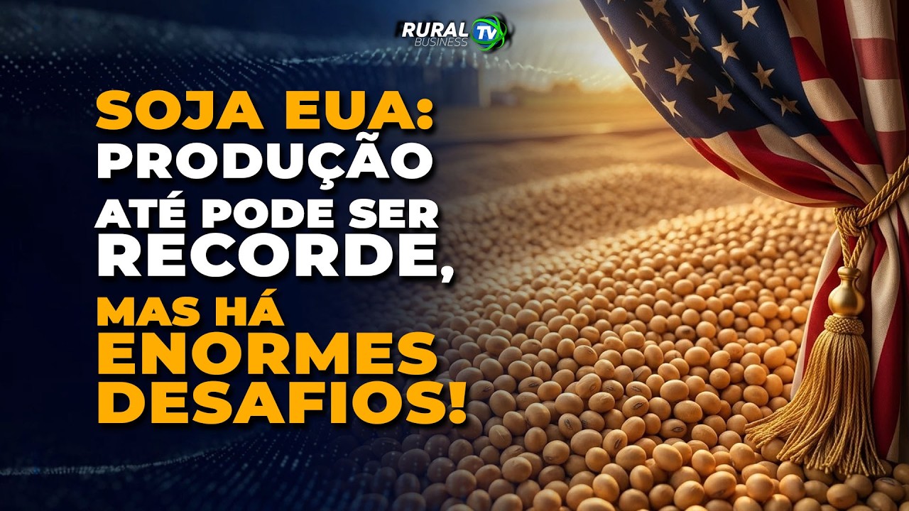 SOJA EUA: PRODUÇÃO ATÉ PODE SER RECORDE, MAS HÁ ENORMES DESAFIOS!