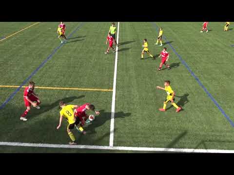 MS 2/3 Team Basel OB FE14 - FC Baden FE14 12.10.2019