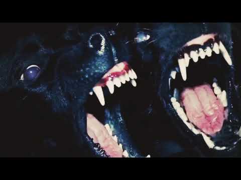 Vnas - Halli Halli (ft. Ponch)