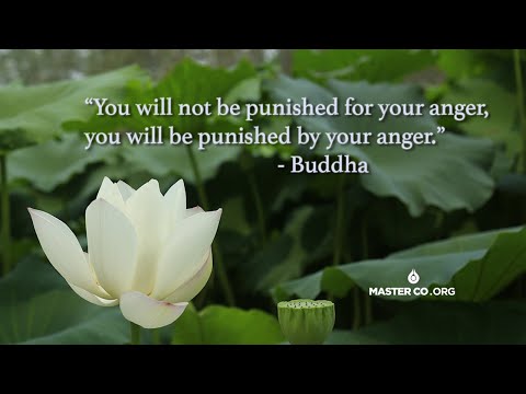 EMOTIONAL HEALING for Anger