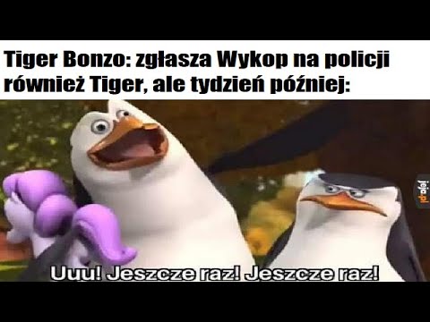 ODCINEK 8: TIGER BONZO OKRADZIONY! WŁAMANIE NA PAY PAL!
