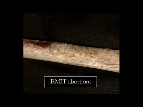 Emit - Abortions 2008