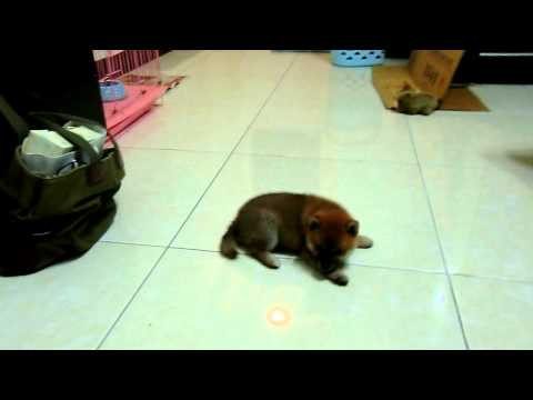 Q比影片  測試(原發表者:akon_1314)(影片)