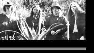 Captain Beefheart & His Magic Band - Diddy Wah Diddy