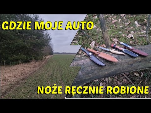 Forest app "My GPS location"