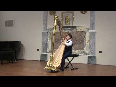 Suoni d'Arpa 2019 - Yu Fung