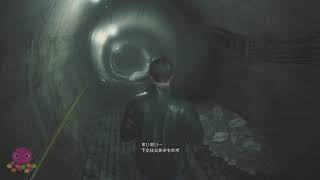 【バイオハザードre2/小ネタ】エイダ無言&扉に詰まる