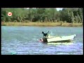 America S Funniest Home Videos AFV