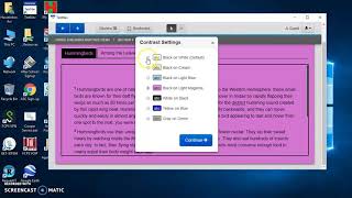 TestNav Reading SOL