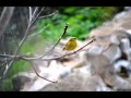 احكيلي احكيلي عن بلدي (لبنان) - فيروز    Hkili Hkili -Feirouz