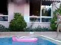Liz S Pool Dive