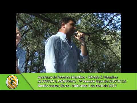 03-04-19 - Apertura de Ignacio Añez & Roberto Mondino - Alfredo S .Mondino - B. Juarez