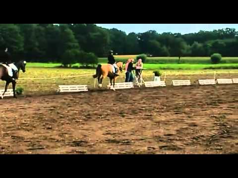 Schirenses Metallica