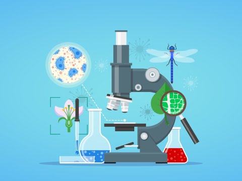 04.01 Systems Biology Is Just Biology – Beyond Networks: The Evolution of Living Systems