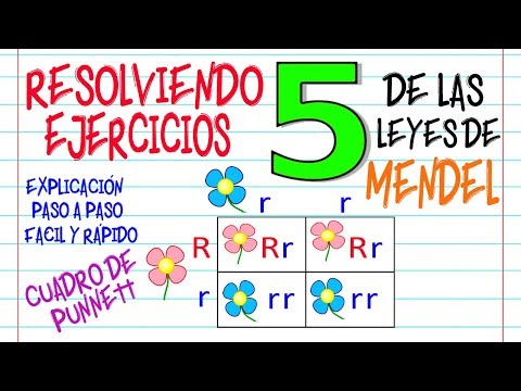 🌿Mendel's Laws and Punnett Square Exercises [Easy and Quick] | BIOLOGY |
