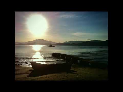 Song To The Siren - The Czars