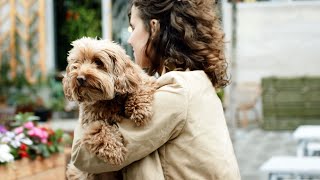 Michael Franks - To Spend The Day With You (song video)