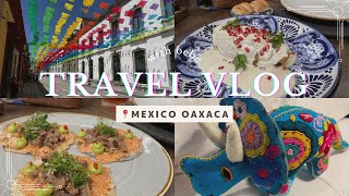 【メキシコオアハカ旅行　9ヶ月赤ちゃん連れ】Mexico Oaxaca Travel Vlog✈︎