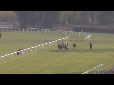 6. dostih - CENA KLOKÁNKŮ - Videozáznam Memoriál Harryho Petrlíka 2018 v Chuchli