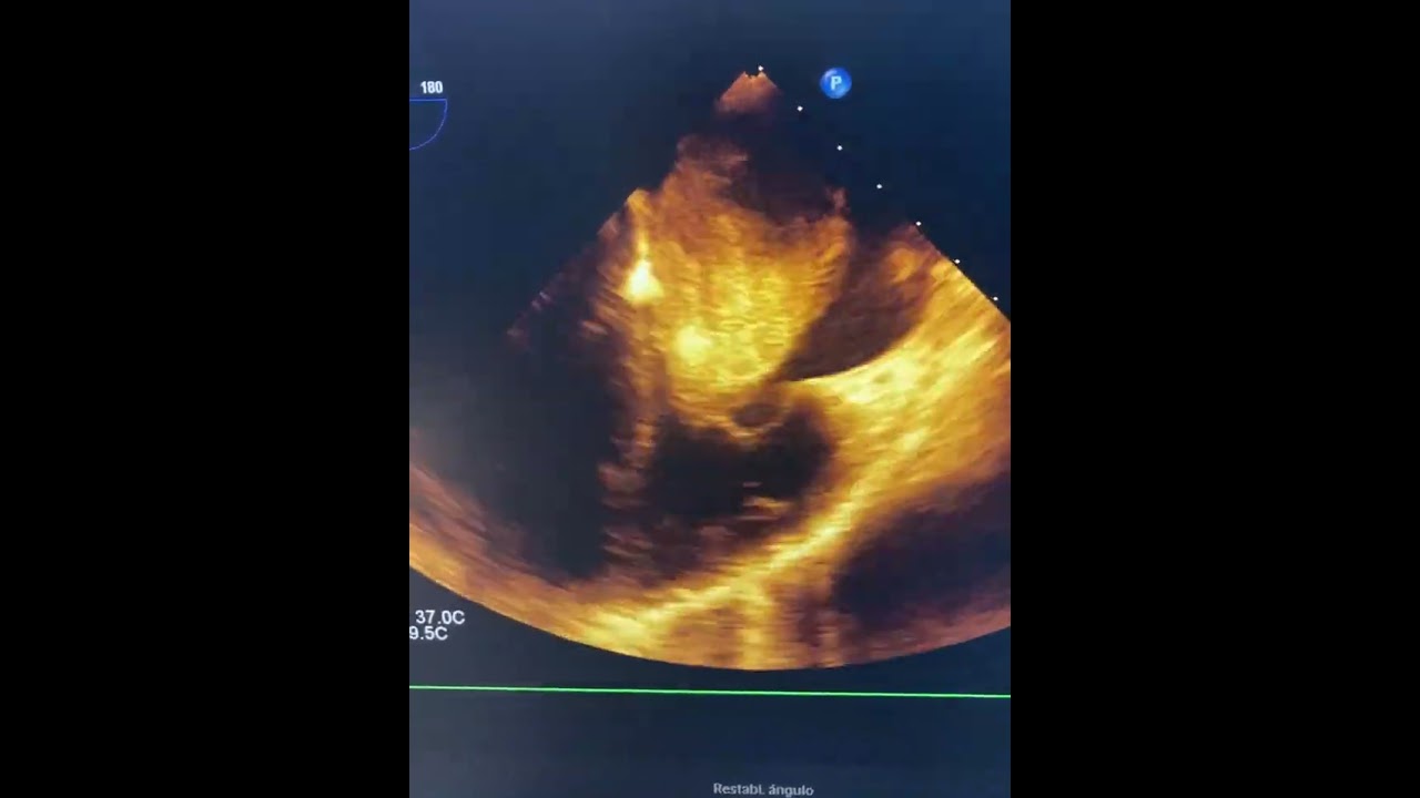 Victor Manuel Carmona Delgado-47