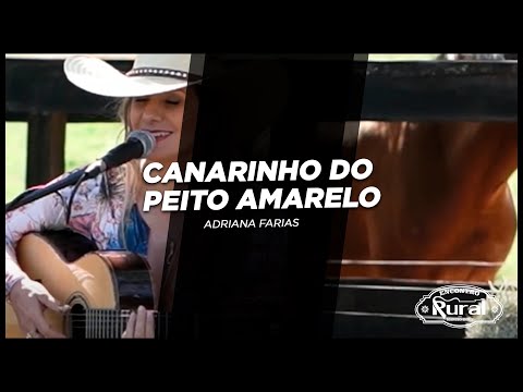 Canarinho do Peito Amarelo - Adriana Farias no Encontro Rural