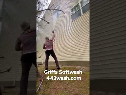 #themagnificent Griffs Softwash 443-430-8058