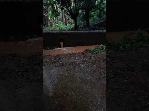 fonte da bananeira em altaneira ceará