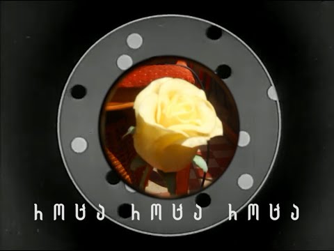 Bedford Falls - SALIVA