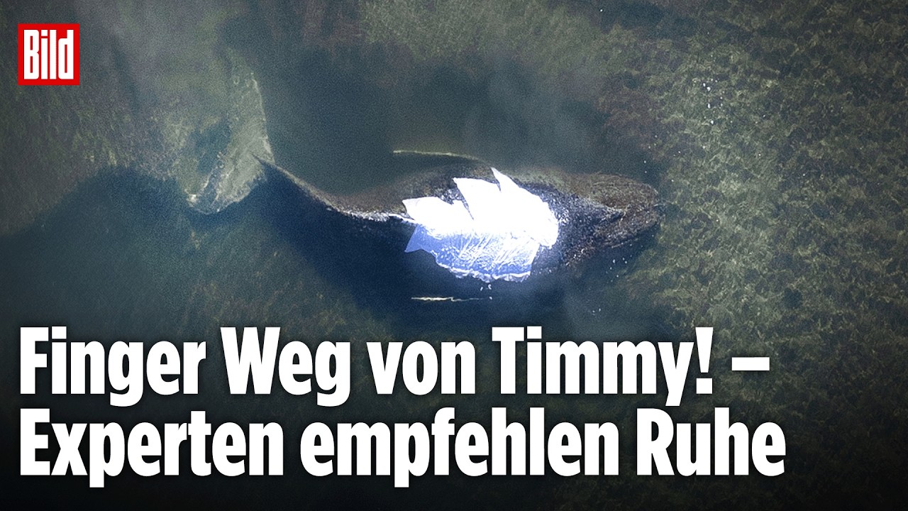 Timmy hat Schmerzen: Experten raten der Natur ihren Lauf zu lassen!