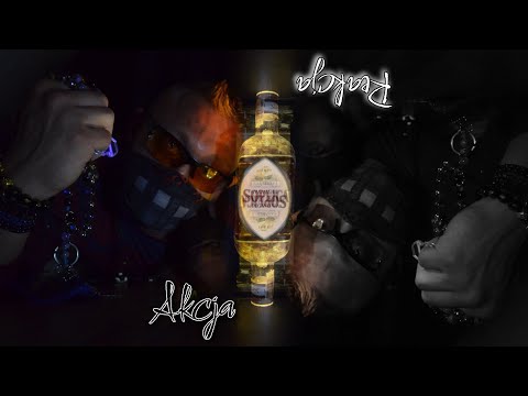 Kojot ( Plemie ) - Akcja/Reakcja