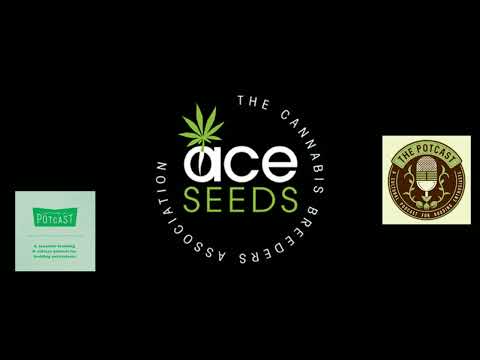 Ep 56.5 ft Dubi of ACE Seeds - 22/6/21 - The Pot Cast