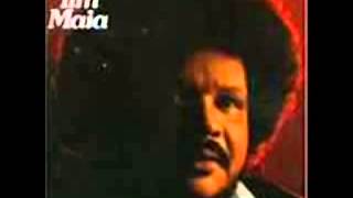 Canário Do Reino Lyrics English Translation